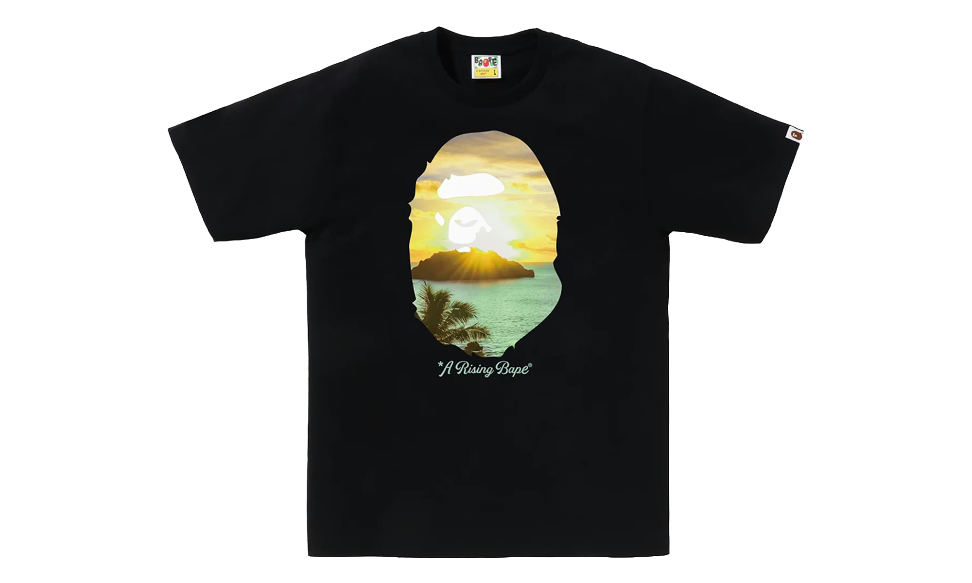 BAPE A Rising Bape Photo Tee Black 1K30 110 048 BLACK