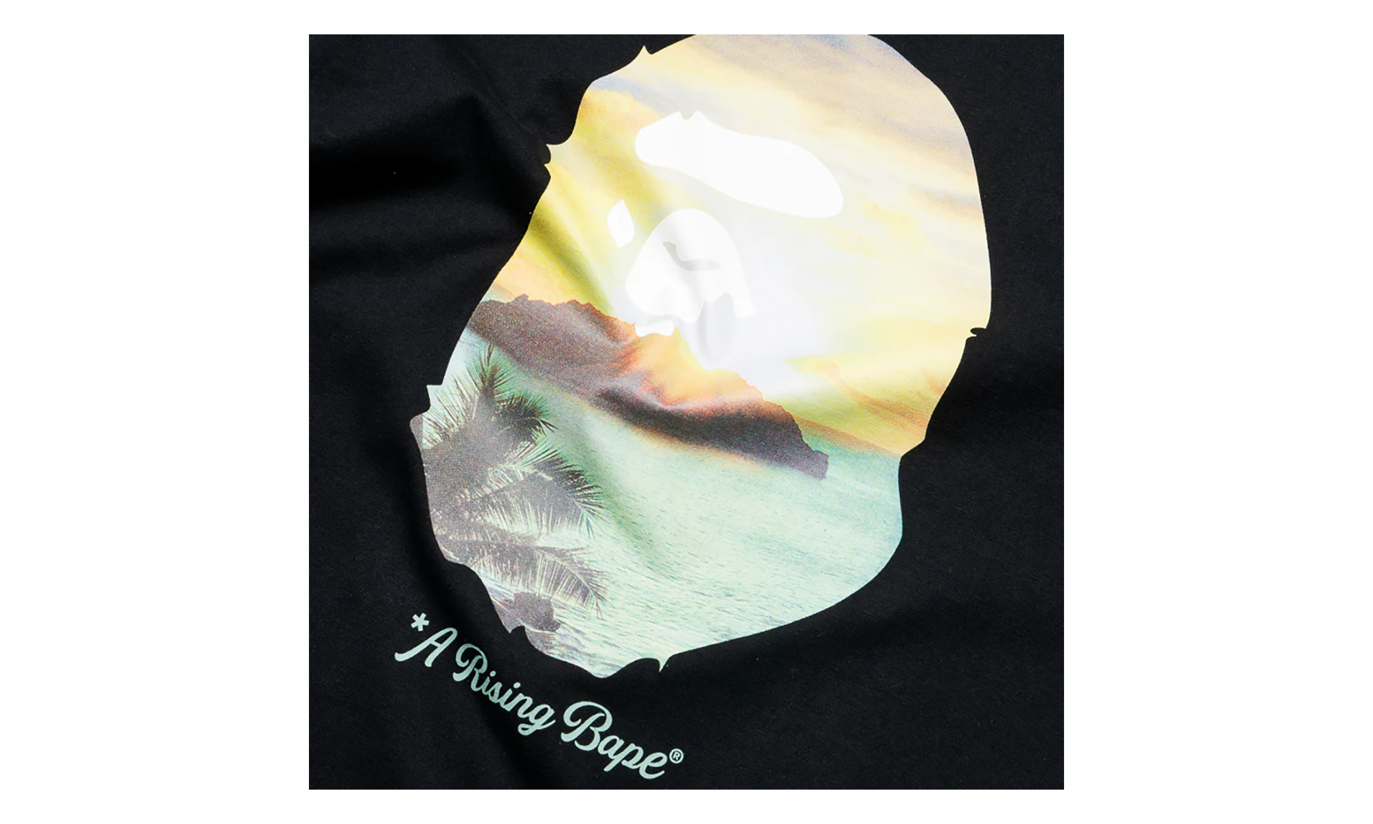 BAPE A Rising Bape Photo Tee Black 1K30 110 048 BLACK