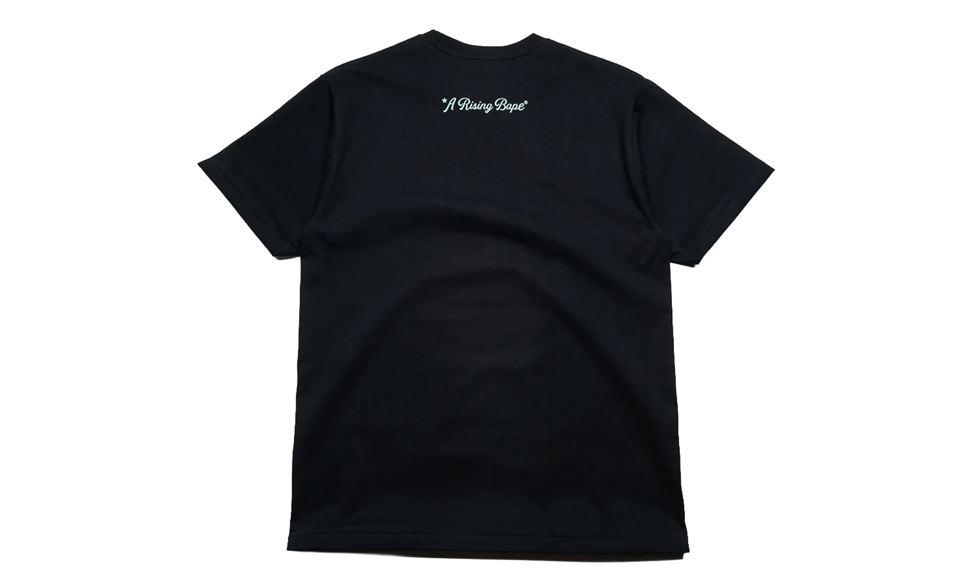 BAPE A Rising Bape Photo Tee Black 1K30 110 048 BLACK
